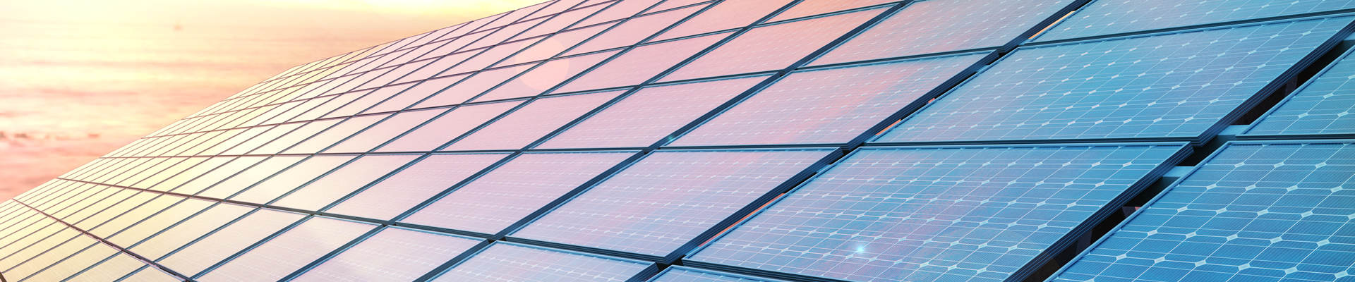 Politica integrată a companiei noastre